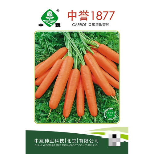 中誉1877胡萝卜种子春季秋蔬菜籽