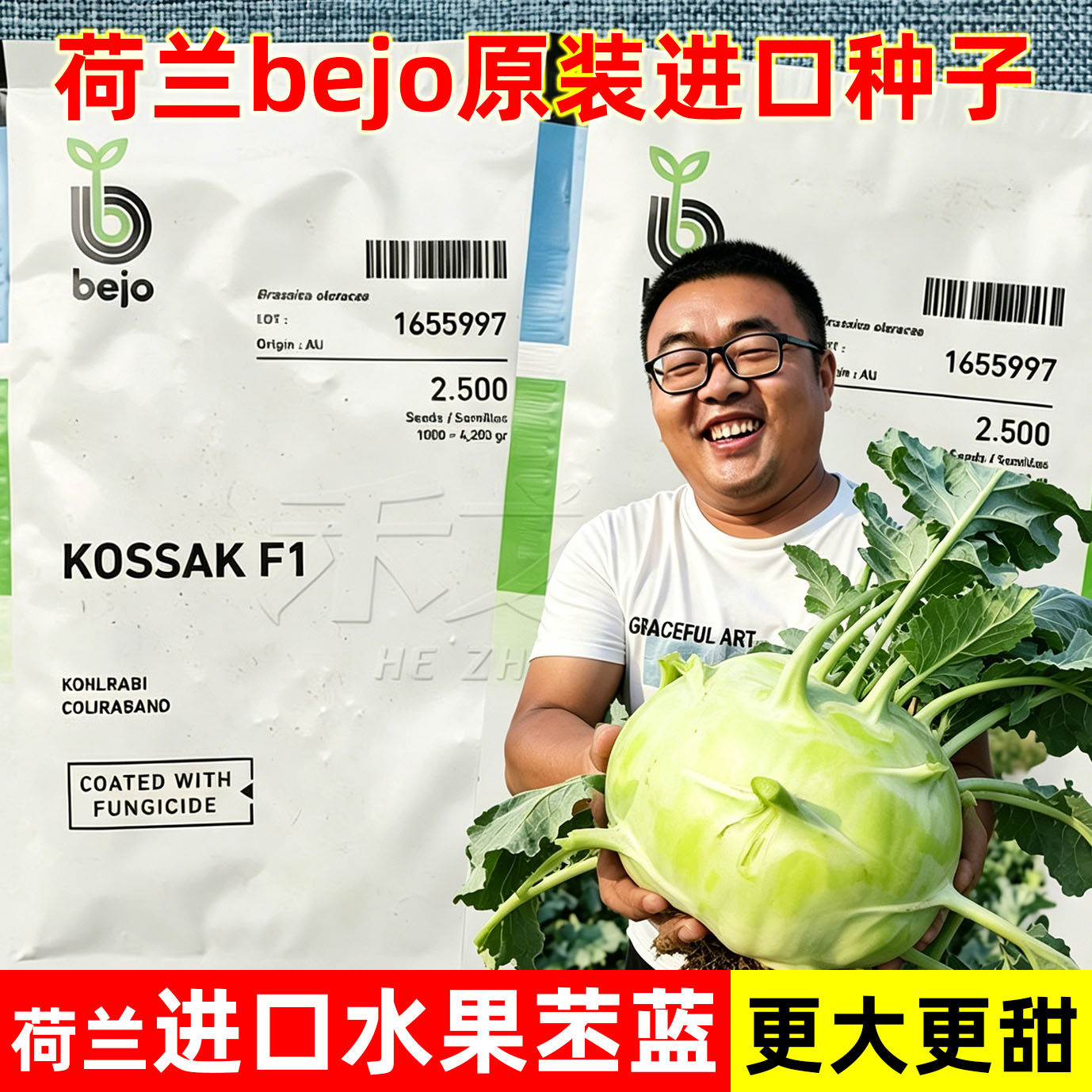 荷兰Bejo克沙克青苤兰种子特菜水果绿苤蓝四季春季秋冬季蔬菜种籽