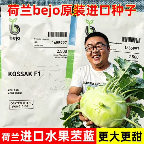 荷兰Bejo克莎克青苤兰种子