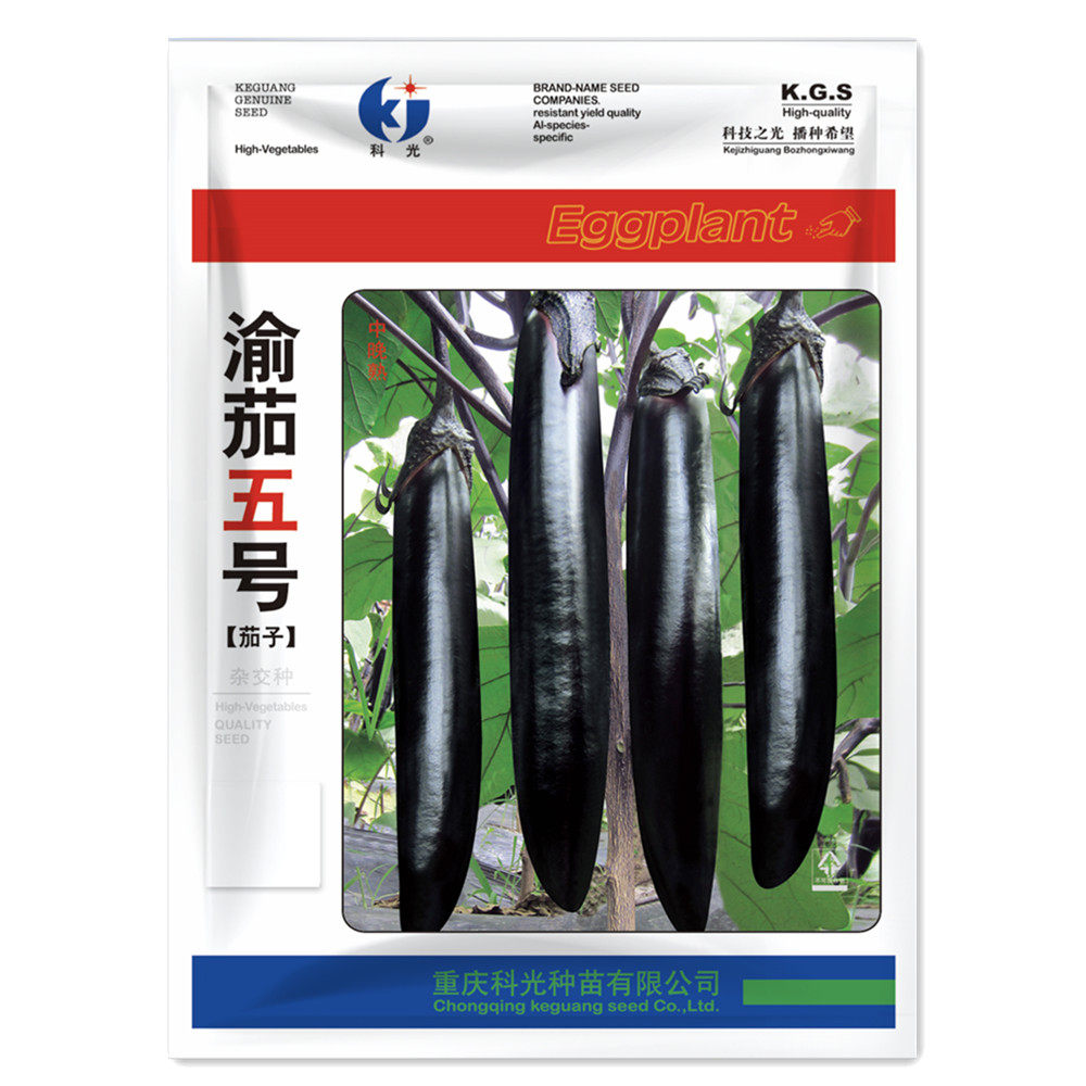 渝茄五号茄子中晚熟种籽种孑长茄子茄籽种孑四季春夏秋季露天菜籽