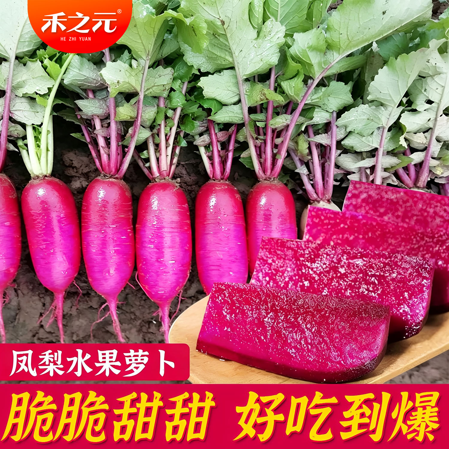 凤梨萝卜种子沙窝甜脆水果种籽老品种秋季蔬菜种红菜籽种紫皮美人