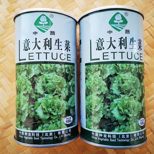 意大利生菜种子中国农科院四季