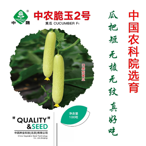中农脆玉2号水果黄瓜种籽