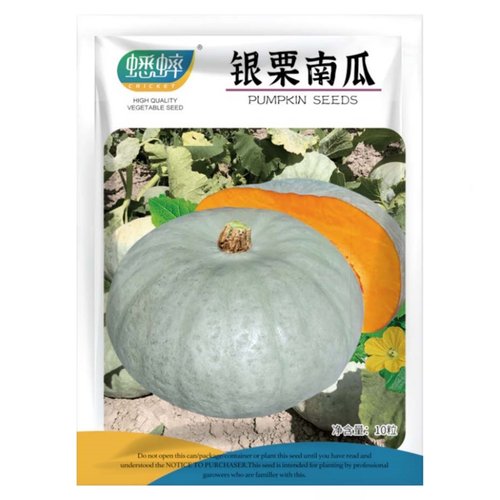 蟋蟀银栗南瓜种子小南瓜种籽