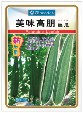 美味高朋丝瓜种子蔬菜广东水瓜棱丝瓜种籽四季春季播爬藤庭院盆栽