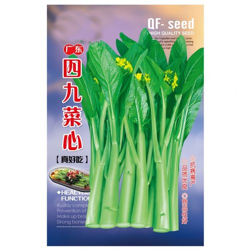 农家广东四九冬季大全南方菜心