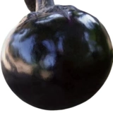 Тяндзин быстрые круглые баклажаны семян семян растительные овощи 孑 четыре сезона