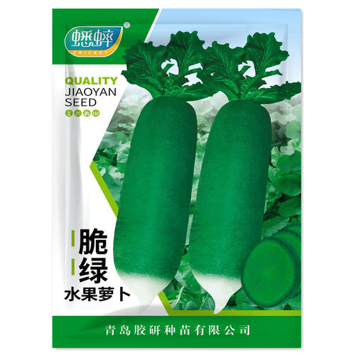 胶研脆绿水果萝卜种籽
