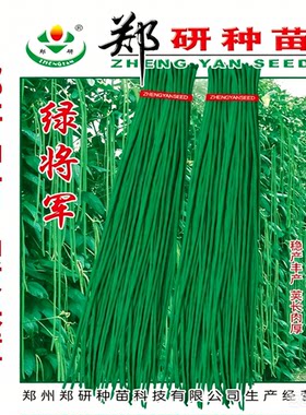郑研种苗绿将军豇豆种子