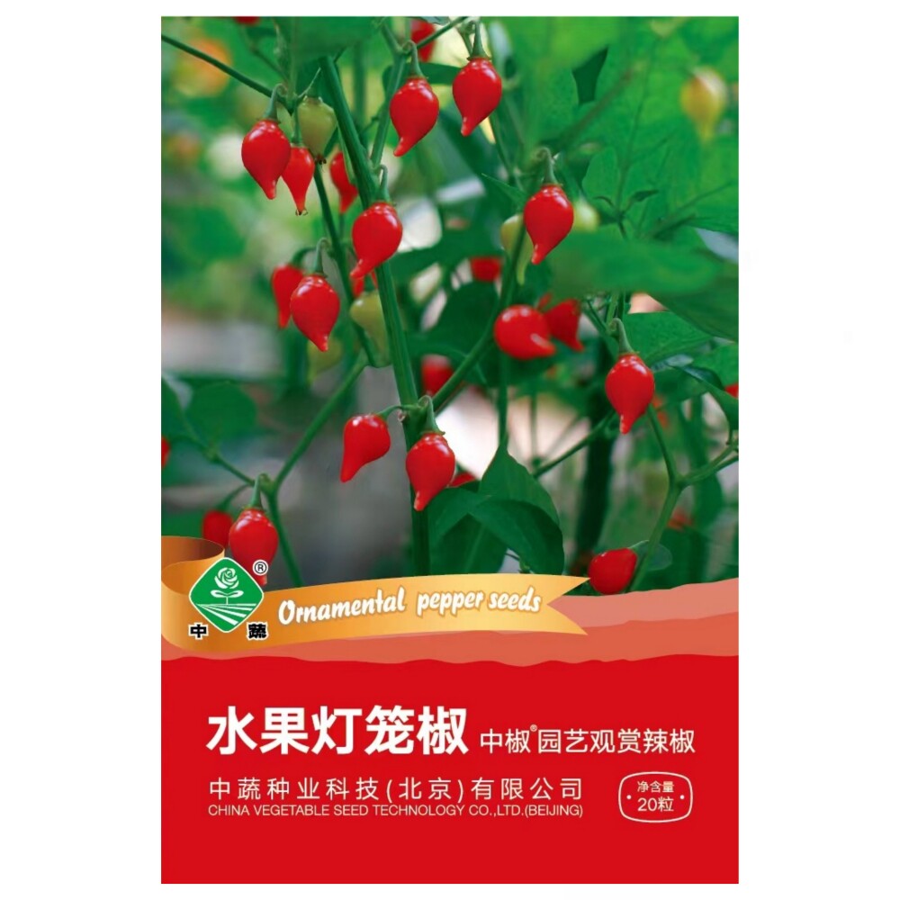 水果灯笼椒种子中国农科院观赏椒籽阳台盆栽辣椒迷你观赏辣椒种孑