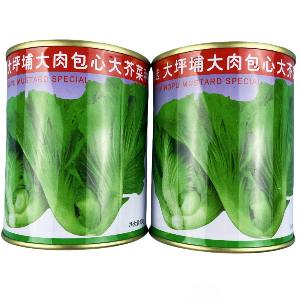 大坪埔大肉包心大芥菜种子