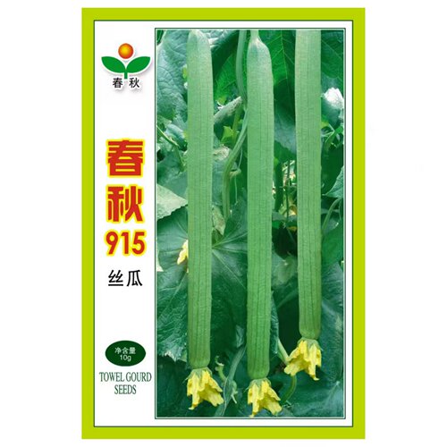 寿光线丝瓜种子春秋915早熟高产