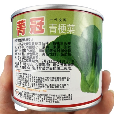 日本进口菁冠青梗菜种子四季冬