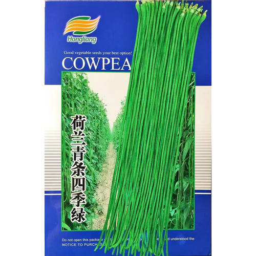 寿光荷兰四季春夏露地豇豆种子