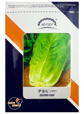 进口罗马生菜种子罗曼尼中早熟45-50天黄绿色直立春秋耐烧心抽苔