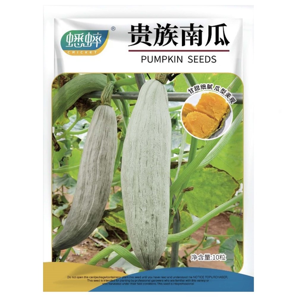 贵族南瓜种子蔬菜种籽甜面瓜板栗四季盆栽春季夏秋冬季水果种孑
