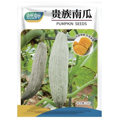 蟋蟀贵族南瓜种子甜面