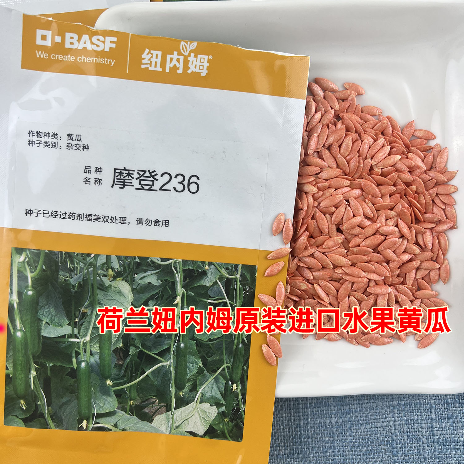 荷兰原装进口摩登236水果黄瓜种图片