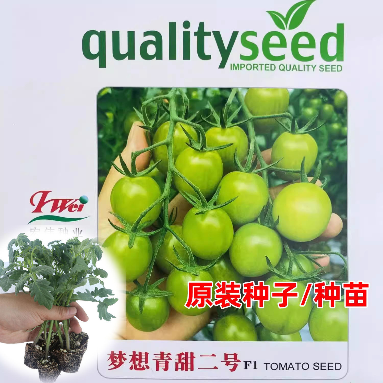 梦想青甜2号二号番茄苗种籽青口蜜秧苗樱桃西红柿种子春四季蔬菜