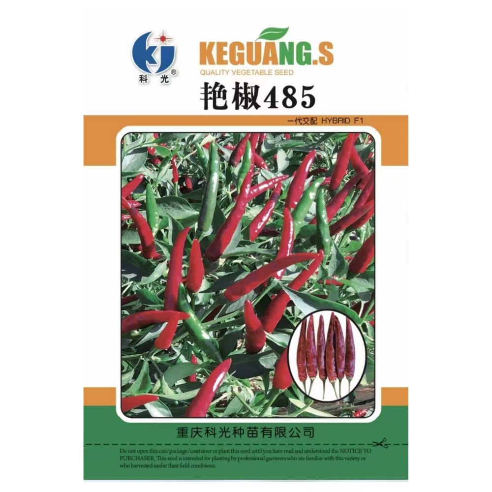 艳椒485单生朝天椒种子