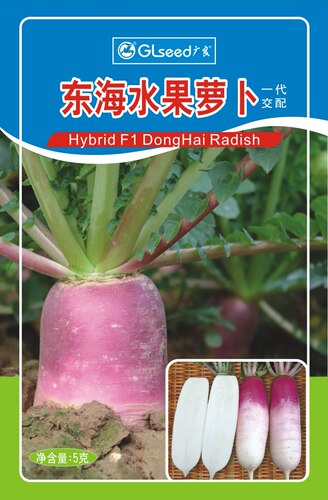 东海水果萝卜种子甜脆型