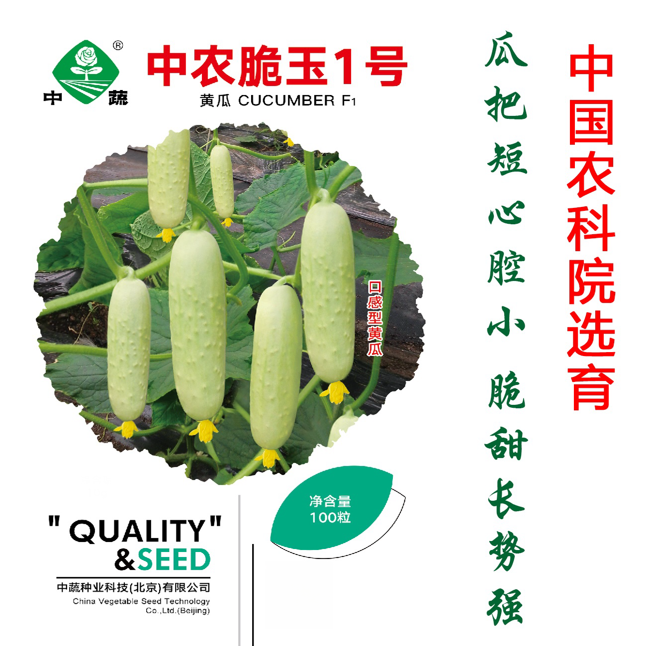 中农脆玉1号水果黄瓜种籽