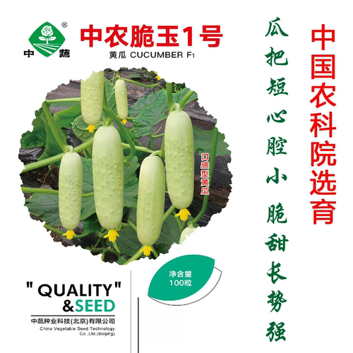 中农脆玉1号水果黄瓜种籽