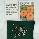 Отказались в лепестках игрушки для семян подсолнечника, наблюдая за коротки