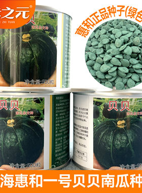 上海惠和一号贝贝南瓜种子