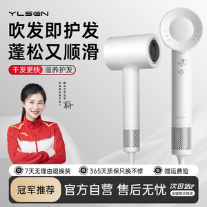 悦朗森家用静音大风力高速吹风机