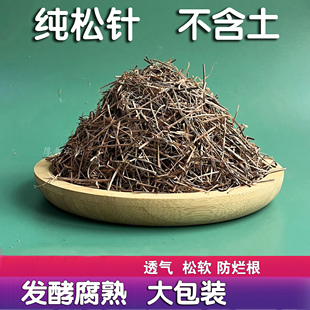 兰花松针土橡树叶腐叶腐熟松针多肉君子兰专用天然松针腐殖土花土