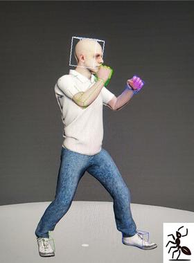 3D max成品 男子Biped骨骼组合拳2表演动作+avi