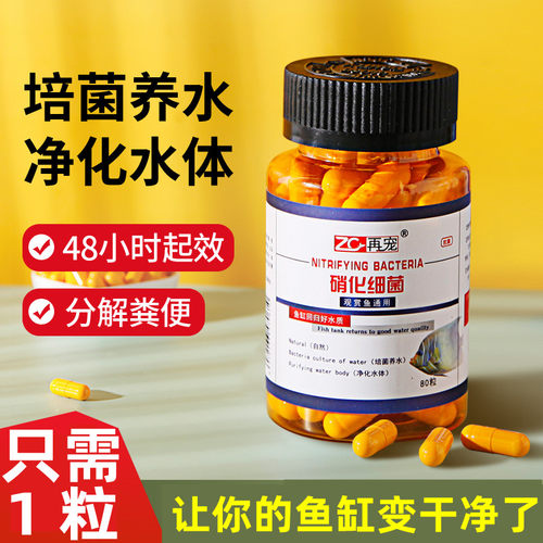 再宠硝化细菌胶净水养鱼