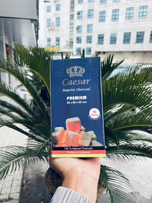 进口阿拉伯水烟椰壳炭