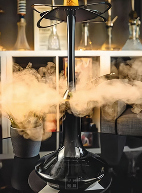 酒吧KTV阿拉伯水烟 欧货原版中大号HOOKAH单管 TSAR H-ONE SHISHA