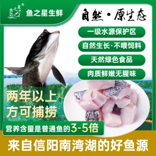 原味花鲢鱼块 刺少胖头鱼 南湾湖信阳 自然生长鱼中段 水库鱼 4斤