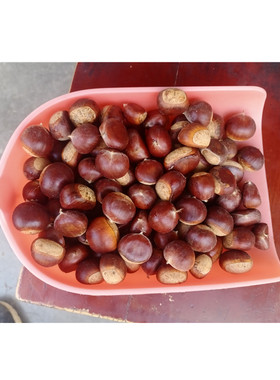 重庆四川城口高山野生小板栗