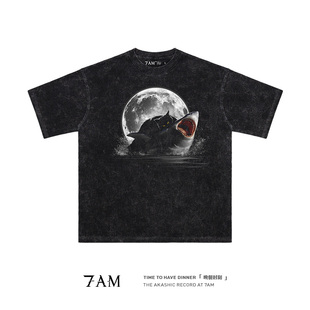 T恤 血脉压制水洗做旧小众创意纯棉宽松ins高街短袖 7AM 喵星人