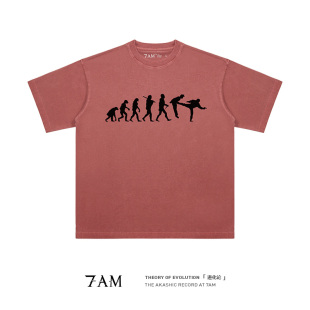 7AM T恤 进化论水洗做旧小众创意极简纯棉宽松短袖