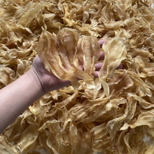 野生优质68头北海尖尾公胶原蛋白很上脸增气色淡纹0添加孕妇产后