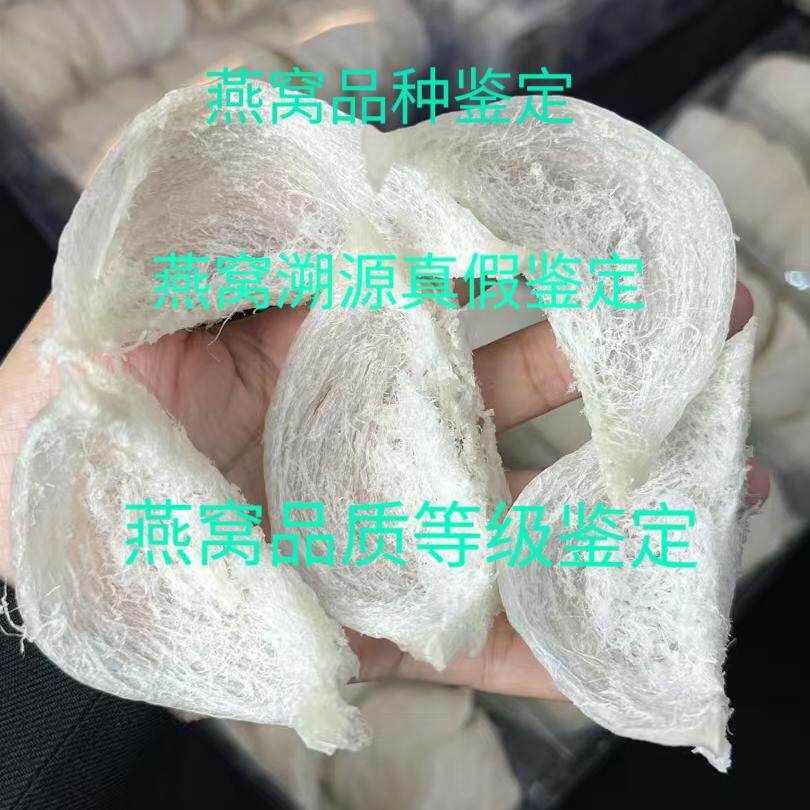 燕窝鉴定 印尼国标溯源码马来燕窝越南洞燕大燕盏孕妇泰国金丝燕