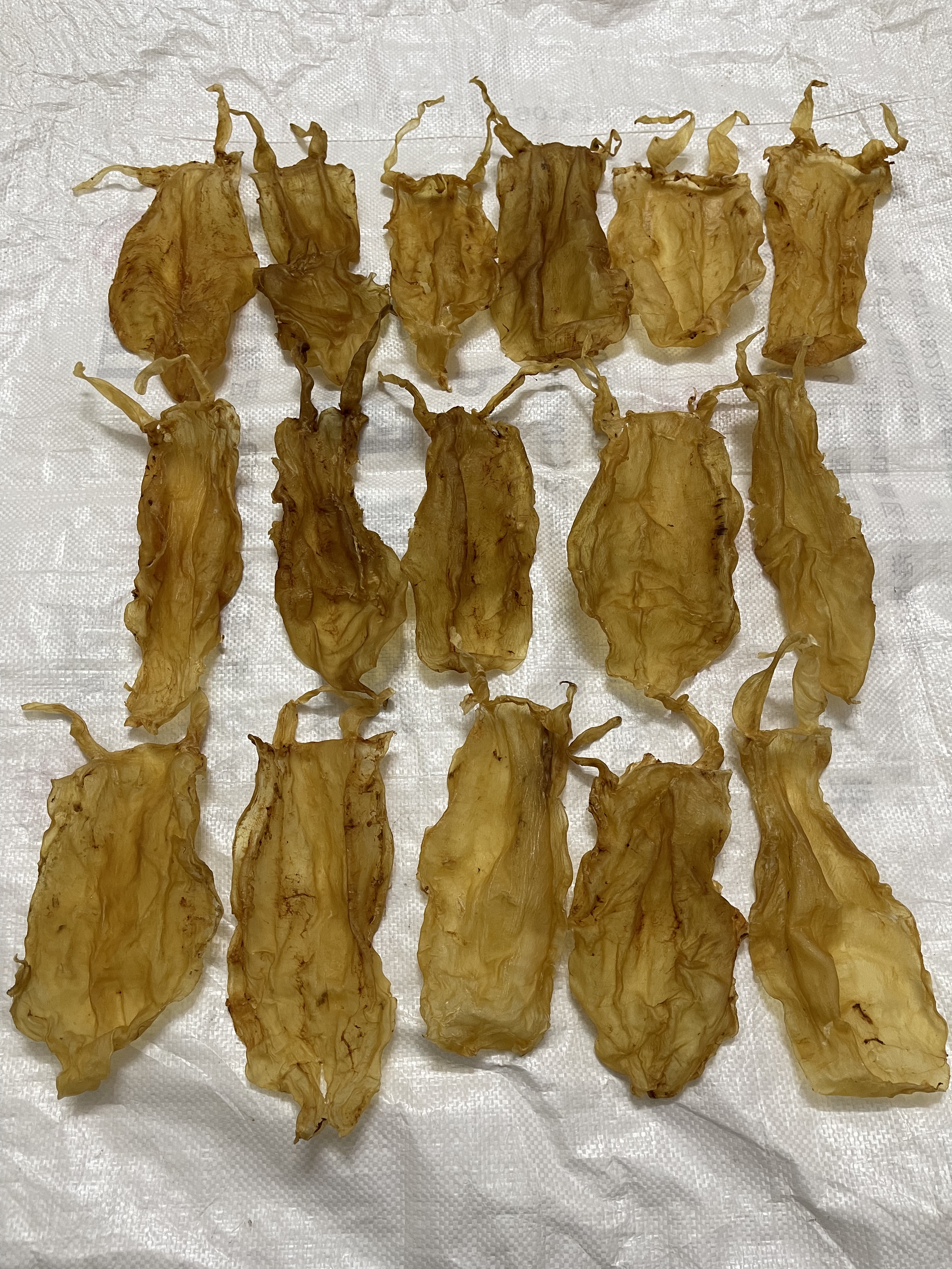 海当家 9年陈正宗小须北海金钱鱼胶花胶老胶孕产后滋补