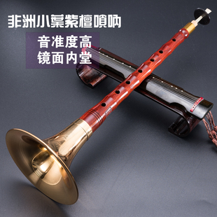 赵氏唢呐乐器全套专业演奏纯铜高档非洲小叶紫檀D调降B调索拉唢呐