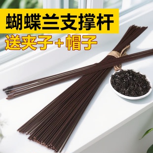 蝴蝶兰花造型支架蝴蝶兰夹子花卉蔓藤植物造型固定支架包塑铁丝线