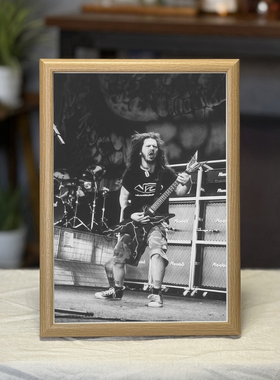 pantera潘多拉乐队海报装饰画欧美金属吉他英雄dimebag带框挂画