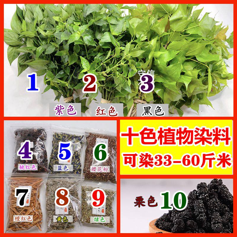 五彩米花米饭植物染料糯米饭彩色大米天然材料乌饭团10色素染饭花