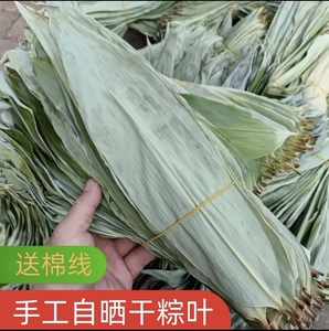 大号干粽叶新货野生大粽叶箬叶叶粽叶子 新鲜粽叶粽子叶端午节