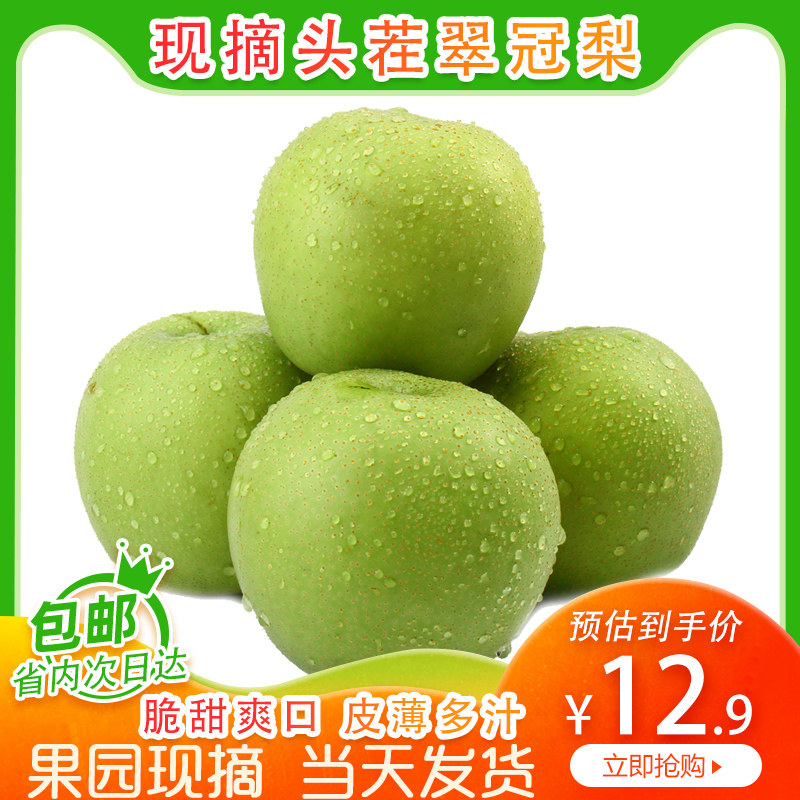 山东特产梨子10现摘当季新鲜水果整箱翠冠梨青梨酥梨特价5斤包邮