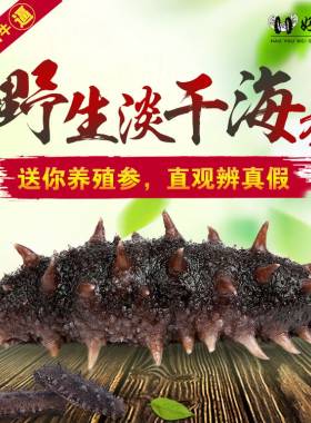 威海野生干海参 干货无糖辽刺参50g克 淡干参礼盒包邮
