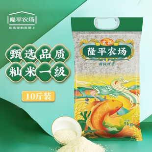 隆平农场大米 美香丝苗 油粘米煲仔饭米籼米 南方大米